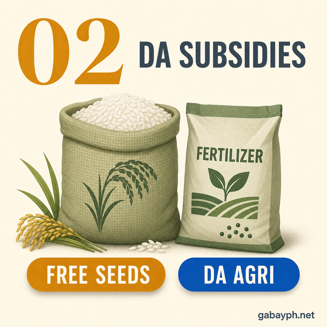 Fact 2: DA subsidies — free seeds and fertilizer