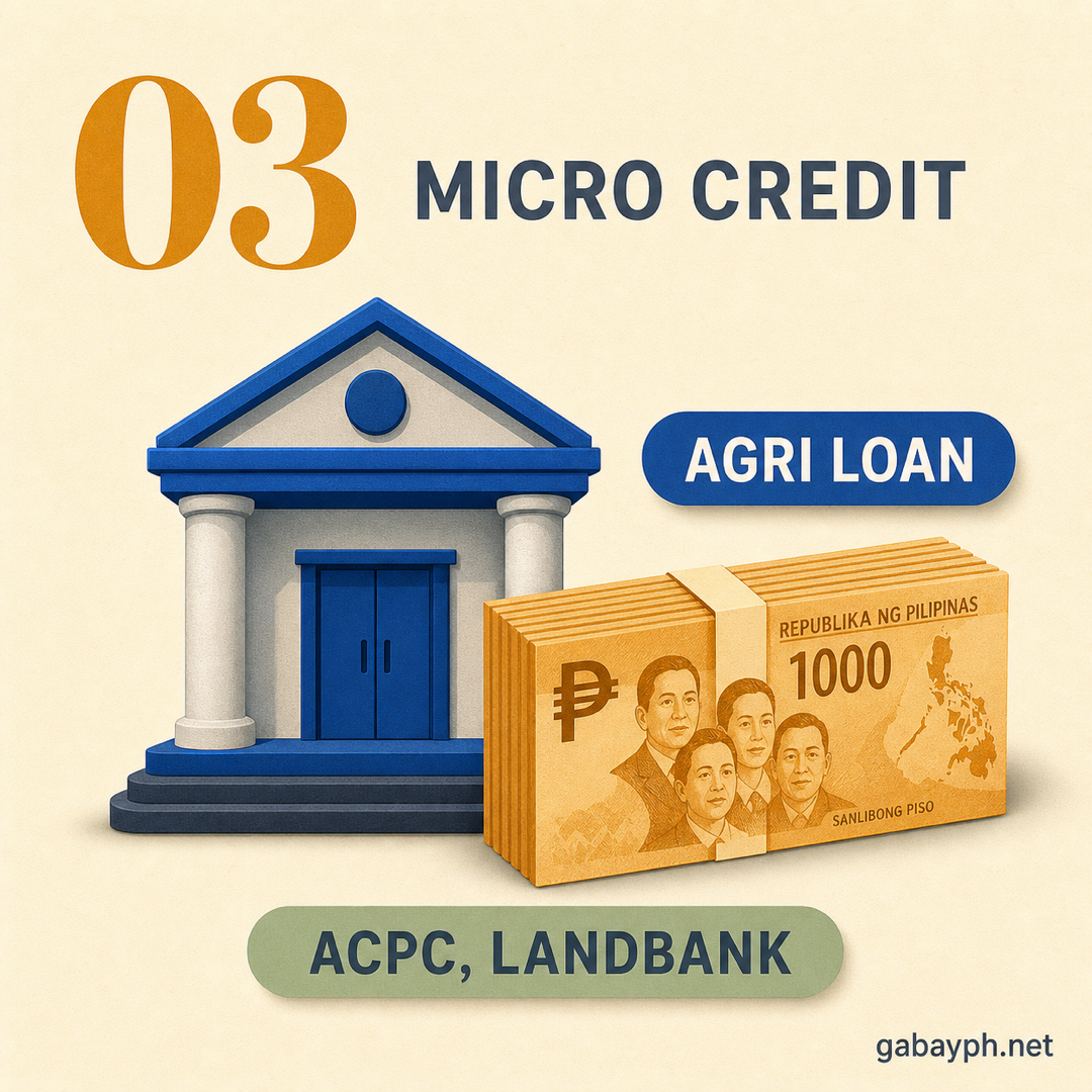 Fact 3: Micro-credit from ACPC, Landbank, cooperatives