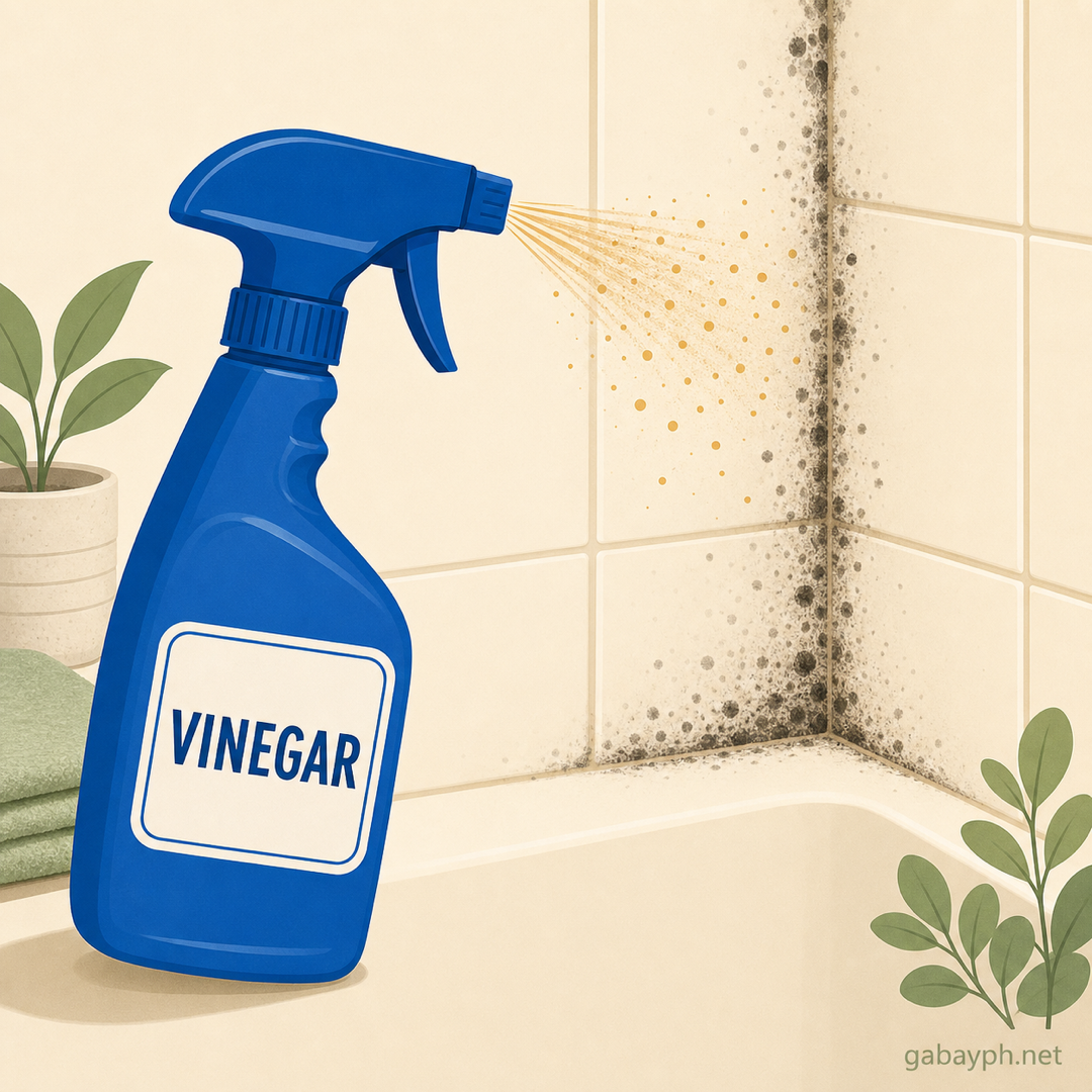 Spray bottle of vinegar misting onto moldy bathroom corner