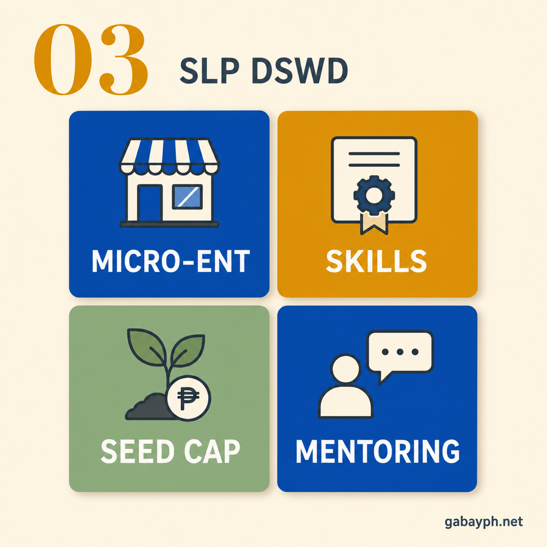 Fact 3: DSWD SLP — micro-enterprise, skills, seed capital