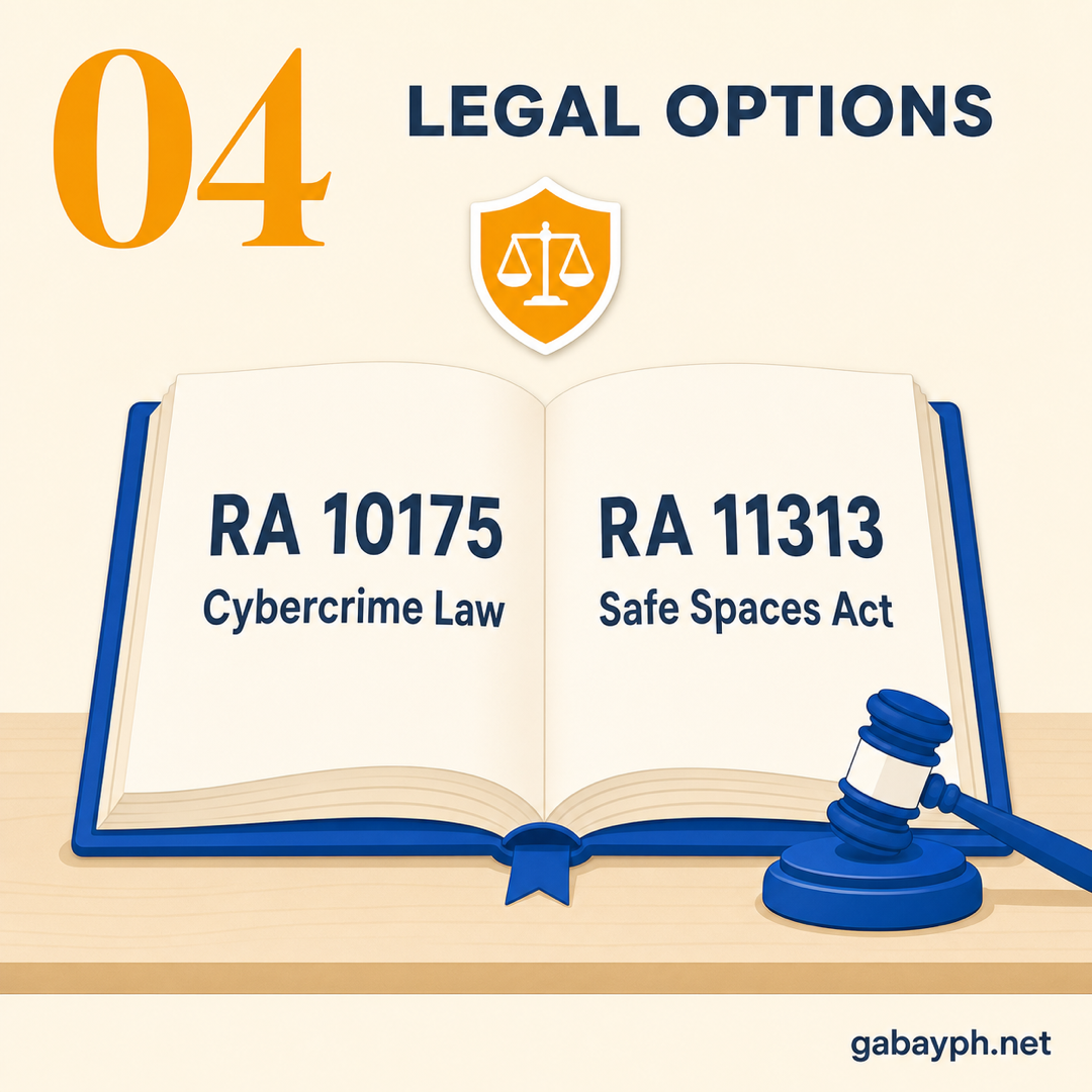 Fact 4: Legal options under RA 10175 and RA 11313
