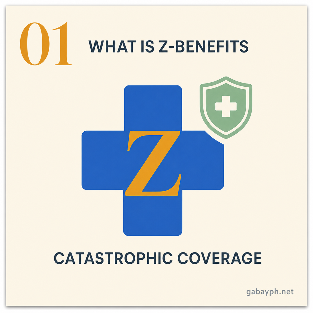 Fact 1: What it is — catastrophic illness coverage package